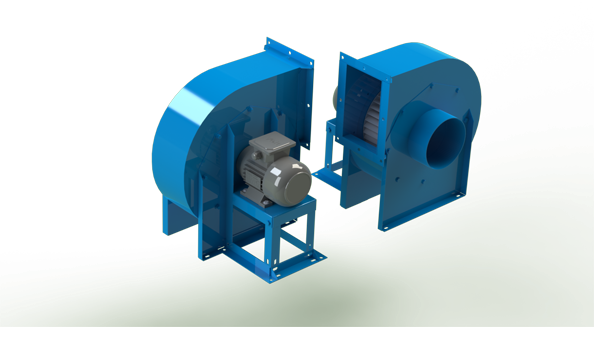 Radyal Fanlar